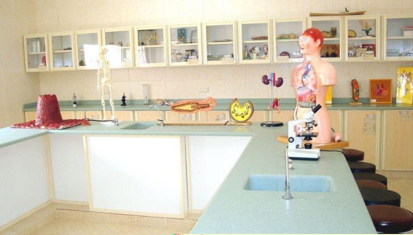 مدارس الإبداع