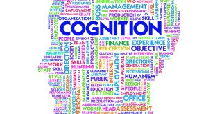 Cognitive theories