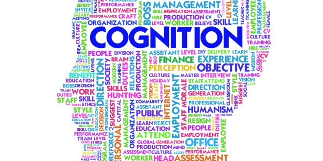 Cognitive theories